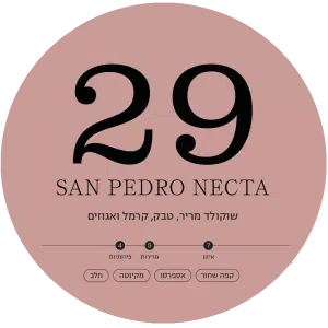 san-pedro-necta-.png