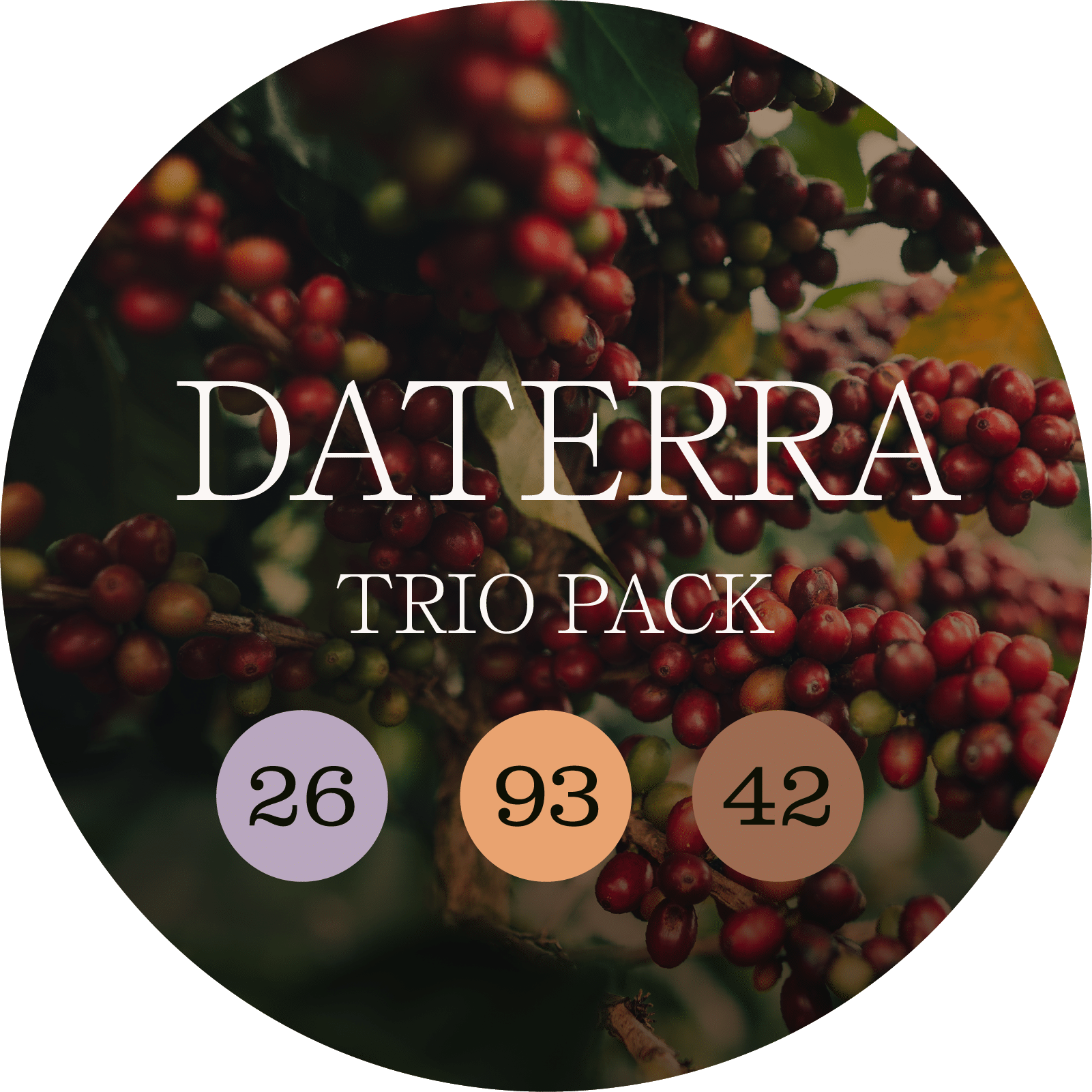 DARERRA TRIO