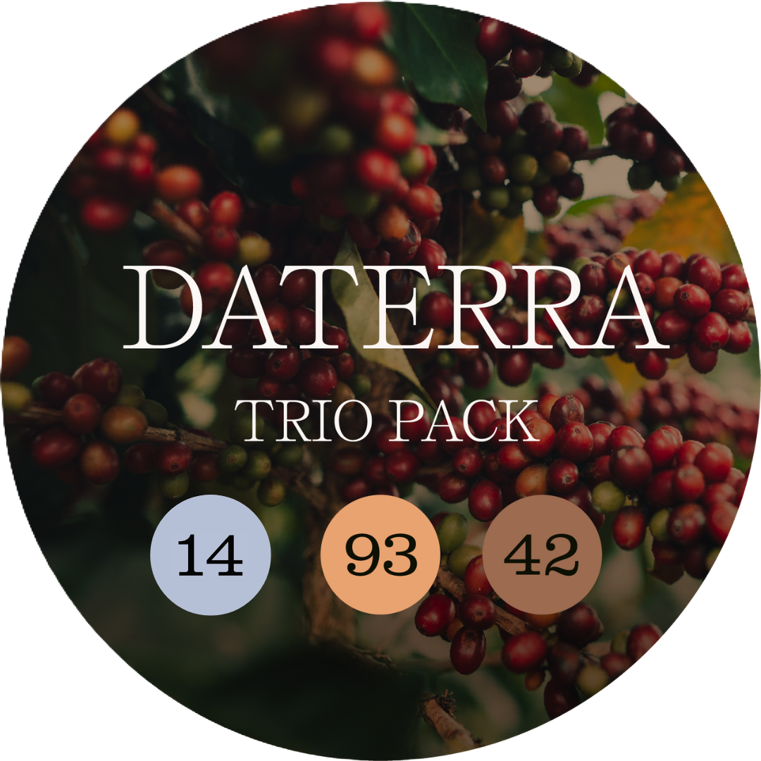 Dattera trio 14 93 42